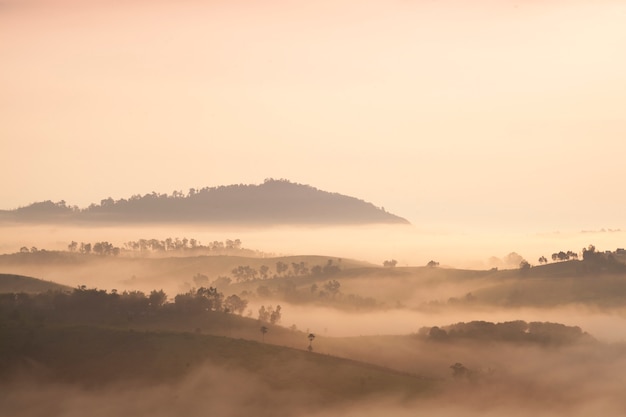 Mountain and fog in the morning