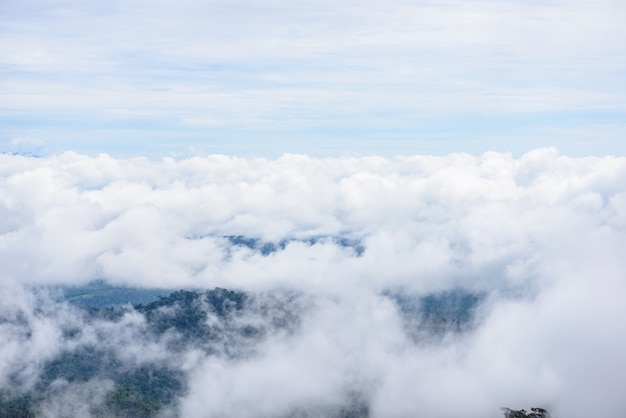 Photo mountain fog scenic at thongphaphum