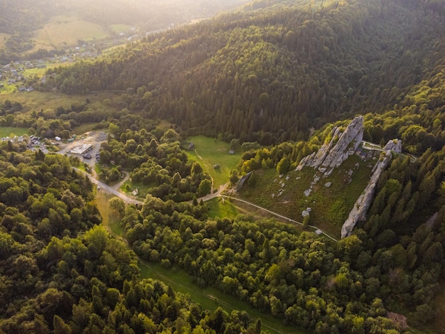 Vista aerea del paesaggio della foresta di montagna