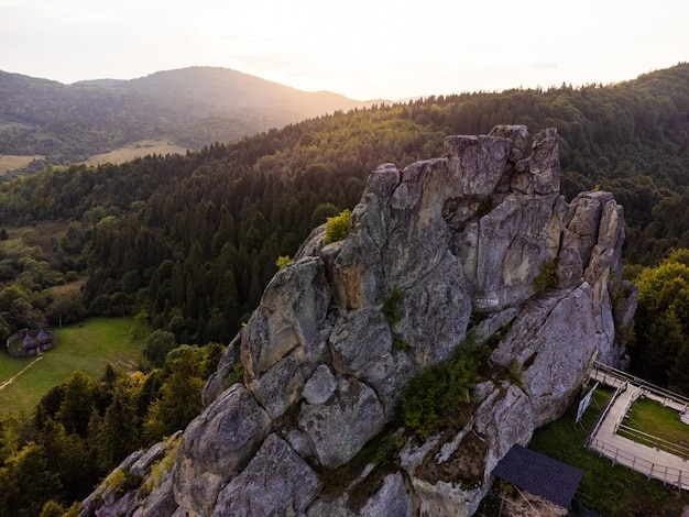 Vista aerea del paesaggio della foresta di montagna