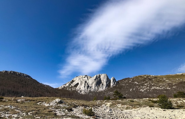 Mountain forest hiking cliff rock nature trail green blue sky