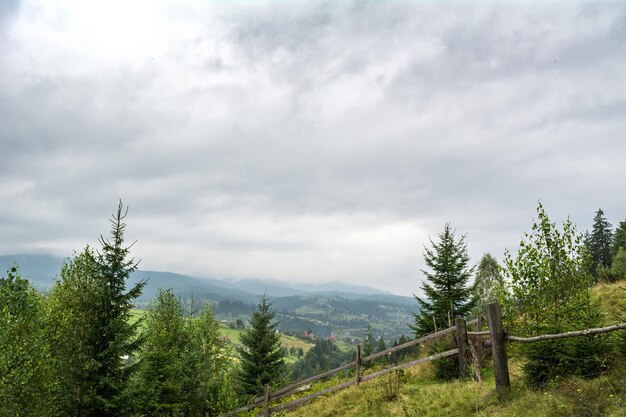 雨が降る前の山林の風景