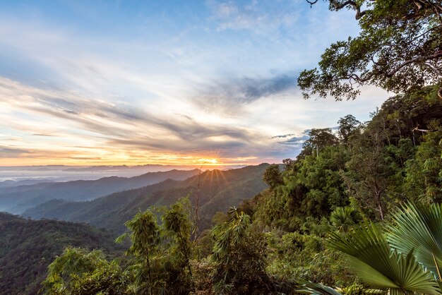 Mountain forest landscape under sunrise sky with clouds