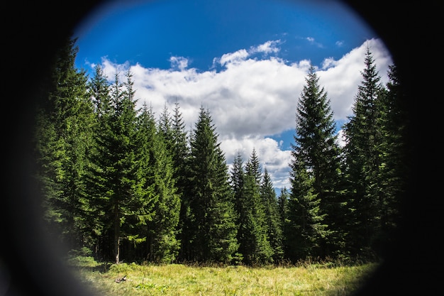 사진 쌍안경을 통해 산 숲 모습