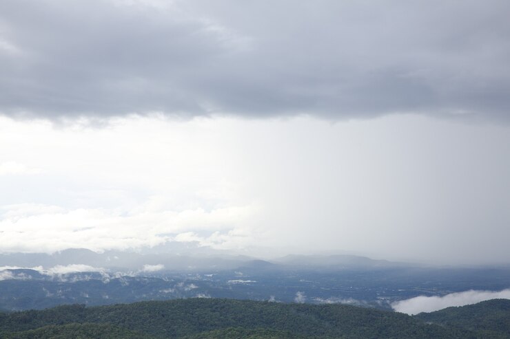 Photo 山の森と雨の霧