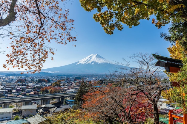 カエデの木のある山フジ