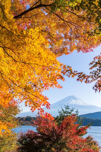 Гора Фудзи в осенний сезон
