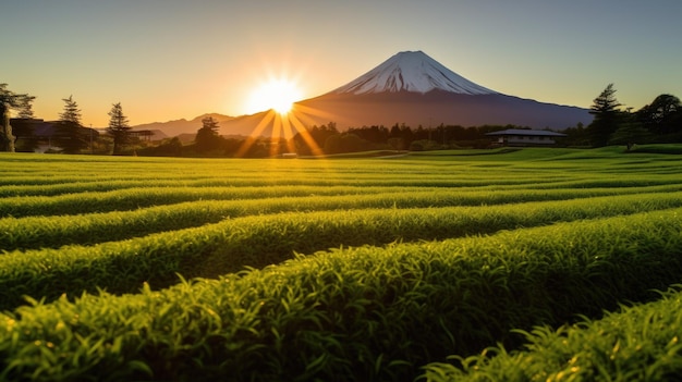 Mountain fuji green tea plantation near mount fuji shizuoka prefecturejapan generetive ai