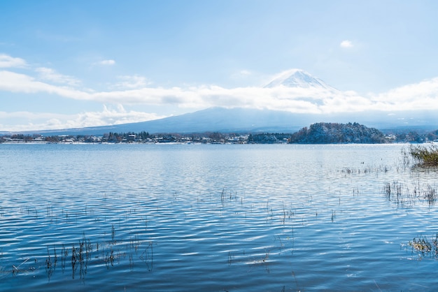 写真 河口湖の山富士山。