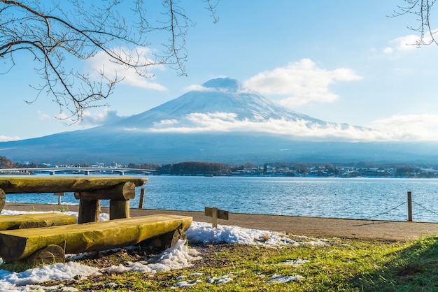 河口湖の山富士山。