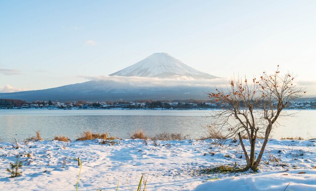 河口湖の山富士山。