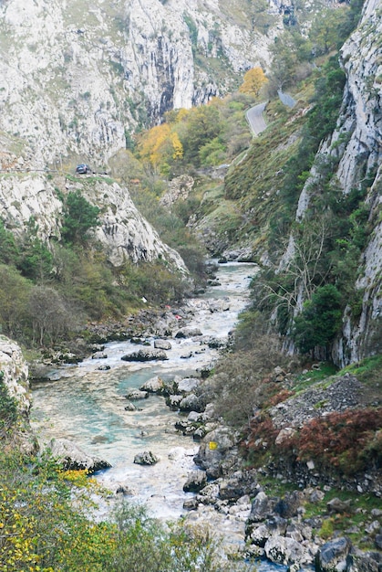 Mountain gorge Mountain river