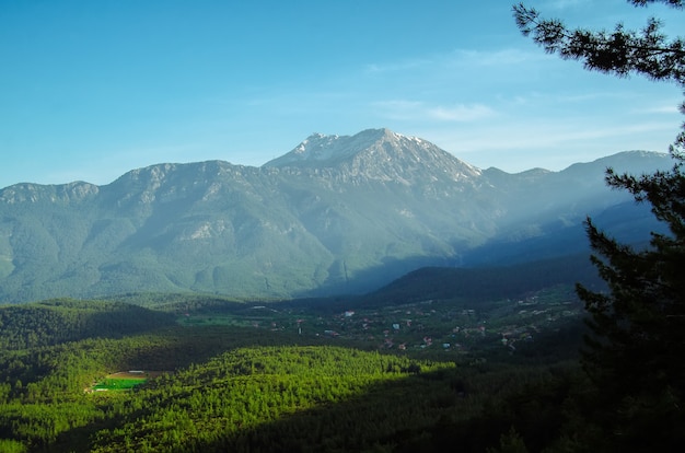 Montagna e foresta verde con vista sulla valle sullo sfondo del paesaggio