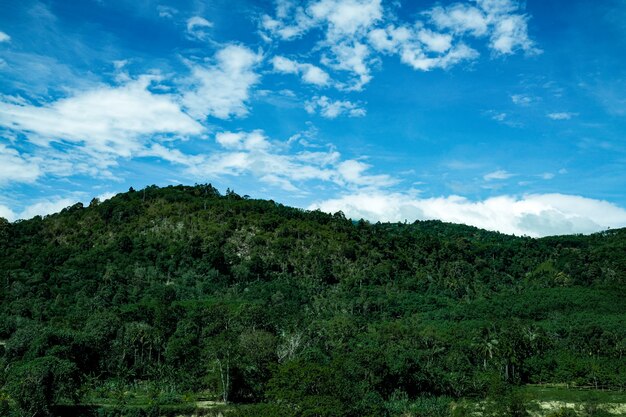 写真 山の緑の丘の範囲雲のパノラマ風景