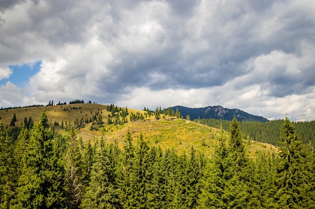 A mountain in Harghita in the center of Romania