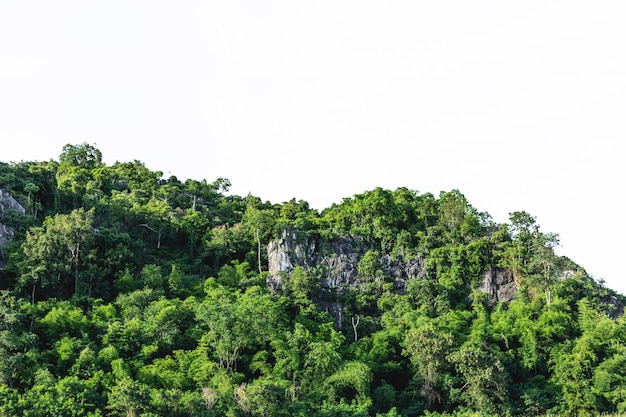 The mountain has many natural trees Separated from the white background