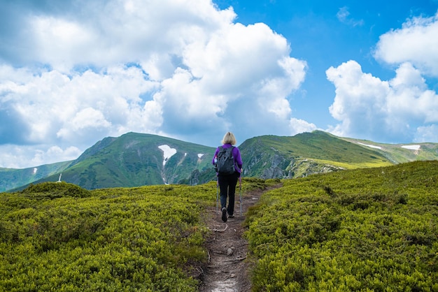 Mountain hiking. Beautiful mountain views. Coniferous forests and alpine meadows