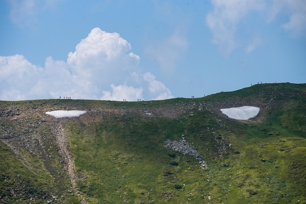 山登り。美しい山の景色。針葉樹林と高山草原