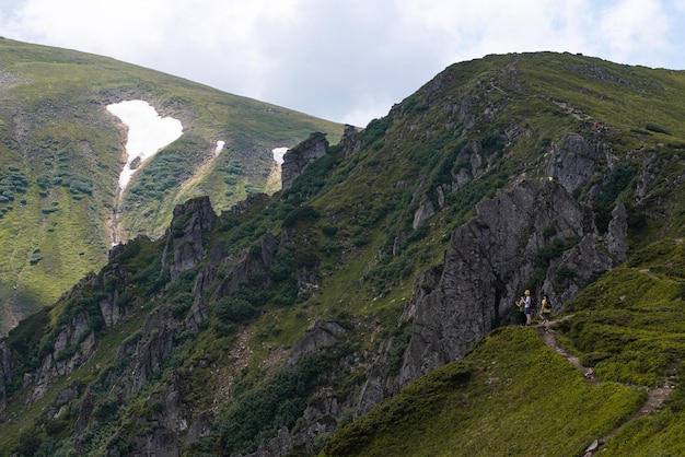 山登り。美しい山の景色。針葉樹林と高山草原