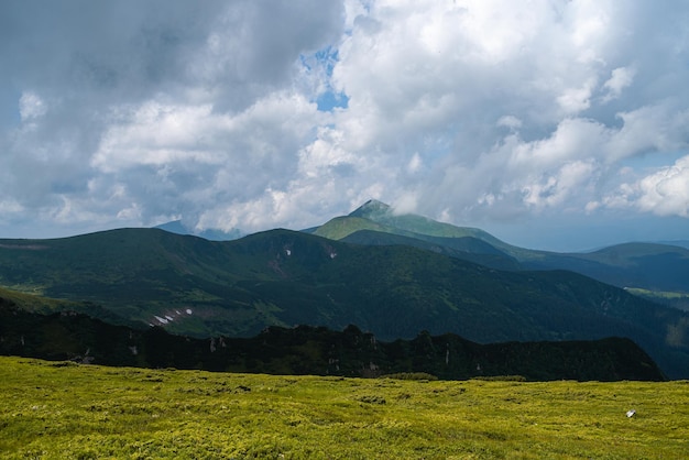 山登り。美しい山の景色。針葉樹林と高山草原