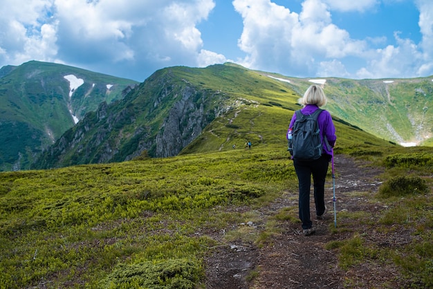 写真 山登り。美しい山の景色。針葉樹林と高山草原