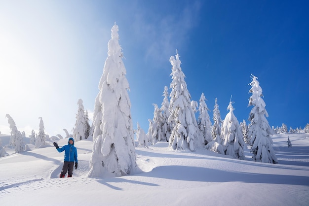 Mountain hiking in the winter. Fir trees in the snow. Sunny day with blue sky. Christmas view with snowdrifts after snowfall