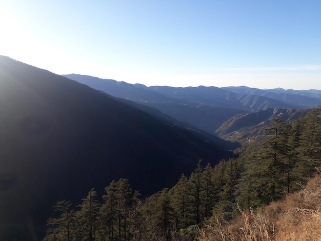 山の丘の丘の森の森と青い空の美しい景色