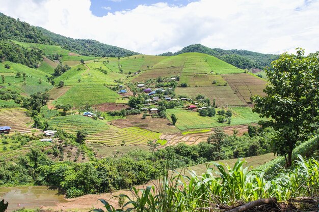 Mountain hill green fresh time view in Chaingmai Thailand