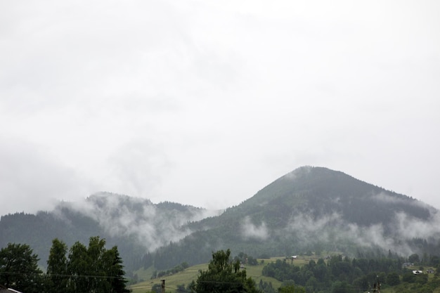 산 언덕 경로 도로 파노라마 풍경