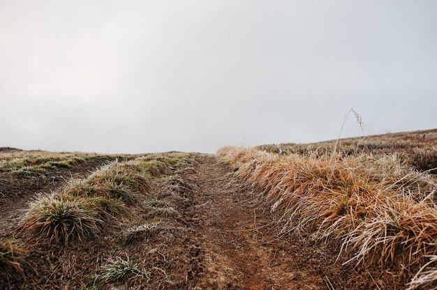 Mountain hill road up with frost grass 