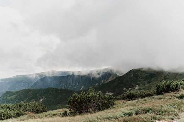 Mountain Hoverla with fog and rain