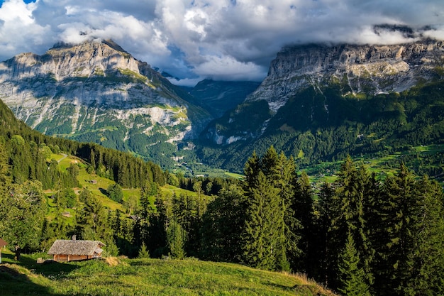 Mountain Hut in Grindelwald