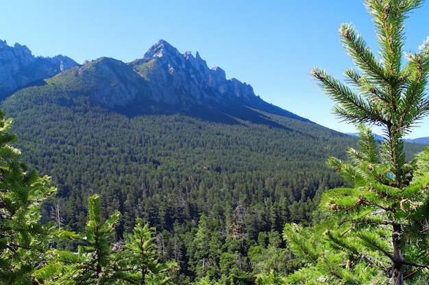 Photo a mountain is in the background with a mountain in the background