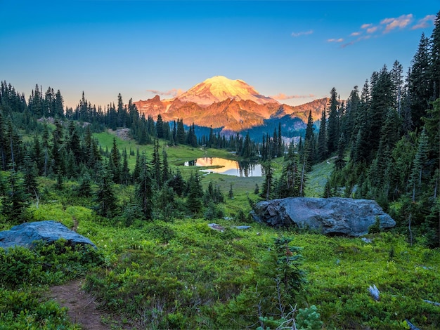 Photo a mountain is seen in the distance from a forest clearing.