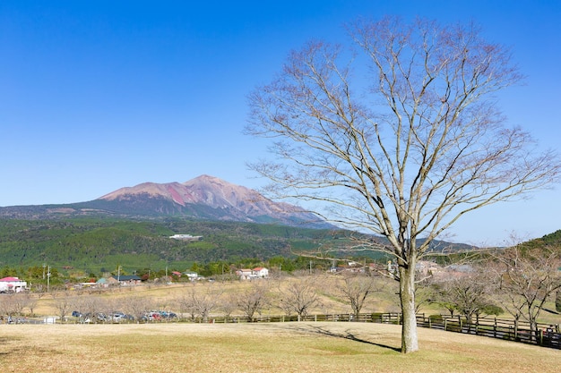 Mountain Kirishima and farm