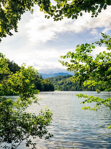 アルプス山脈を背景にした山の湖