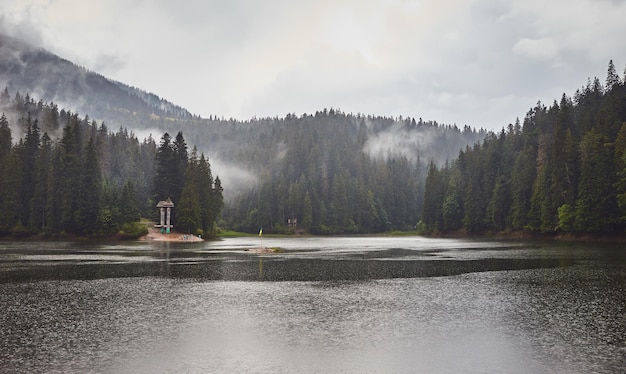 Mountain Lake Synevir in the rainy foggy summer day in Carpathian Ukraine  Beautiful nature scenery outdoors Coniferous forest with tall trees on the shore