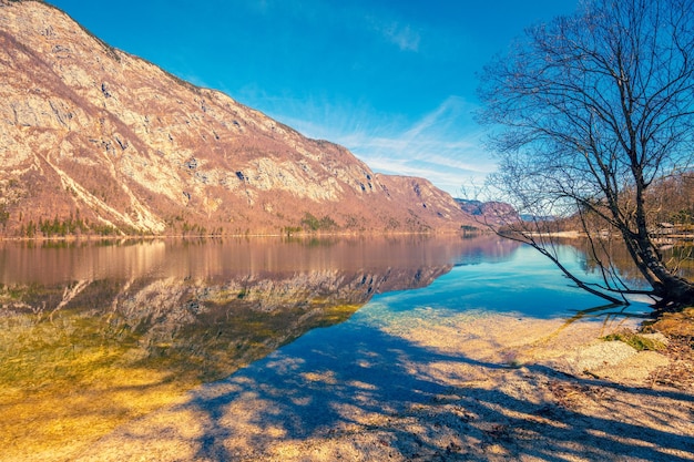 이른 봄 슬로베니아에서 아름 다운 반사 호수 Bohinj와 산 호수