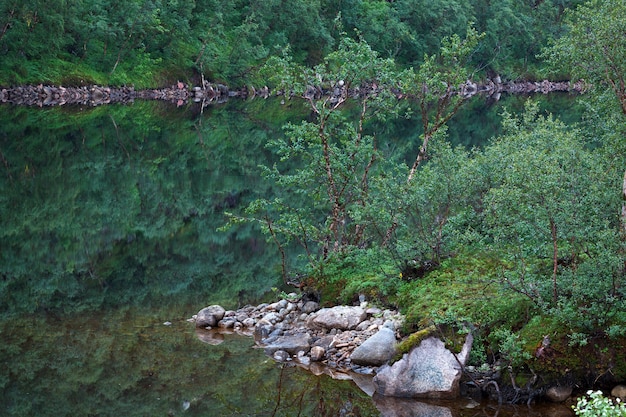 Lago di montagna con acqua limpida. penisola di kola, russia.