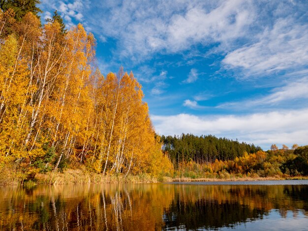 Mountain lake with pines and birches in autumn season 