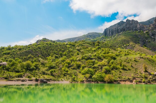 Mountain lake with trees and sky