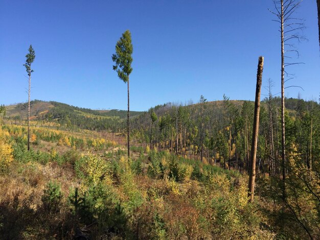 Mountain landscape in the autumn Russia Siberia Altai mountains