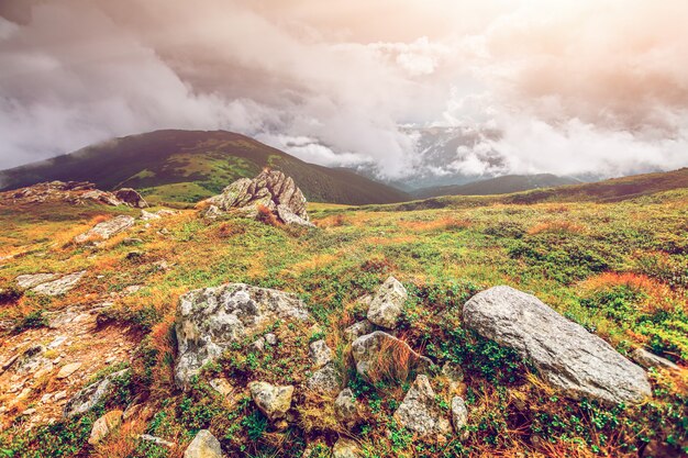 秋の山の風景