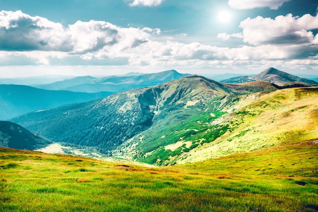 秋の山の風景