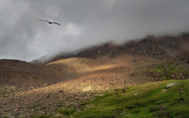 Горный пейзаж красивый вид на живописное ущелье в облаках пасмурная погода природа горного алтая Над облаками Вид с вершины горы Туман в горах