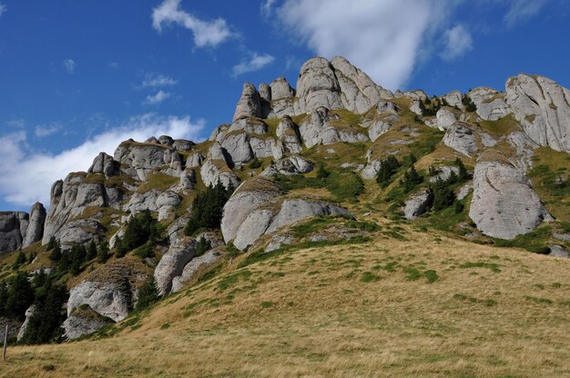 Mountain landscape in the Carpathians