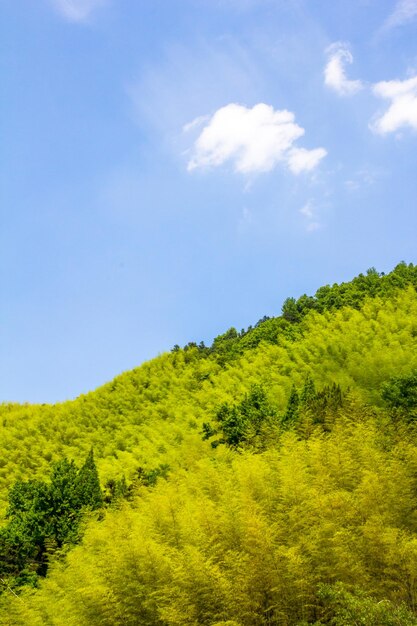 山の風景中国