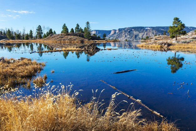 Photo mountain landscape in colorado rocky mountains, colorado, united states.