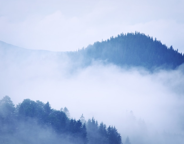 山の風景。自然の構成。