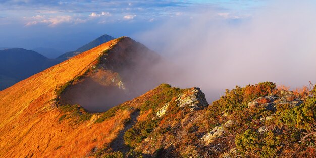 Mountain landscape. The first rays of the rising sun. Beautiful red light. Carpathian mountains, Ukraine, Europe